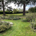 IMG_0096.jpeg