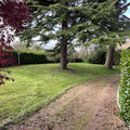 IMG_0098.jpeg