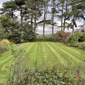 IMG_0100.jpeg