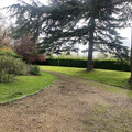 IMG_3059.jpeg