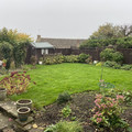 IMG_3111.jpeg