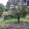 IMG_3112.jpeg