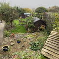 IMG_3117.jpeg